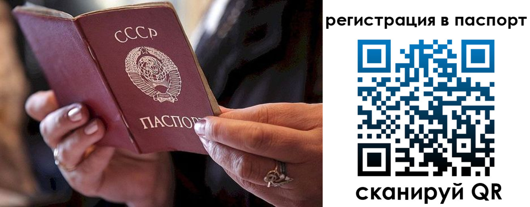 временная регистрация для всех в Светогорске